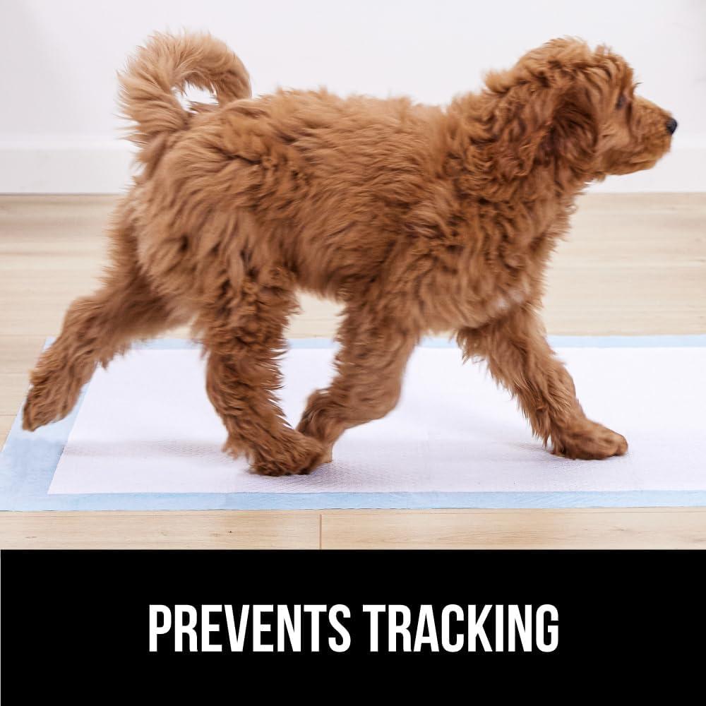 imageGorilla Guard Disposable Puppy Pads 5 Layer Pee Pads for Dogs Absorbent Diaper Changing Pad Dog Potty Training Supplies Quick Dry Pet Housebreaking Essentials for Puppies 25 Count 22x22 in34 x 28