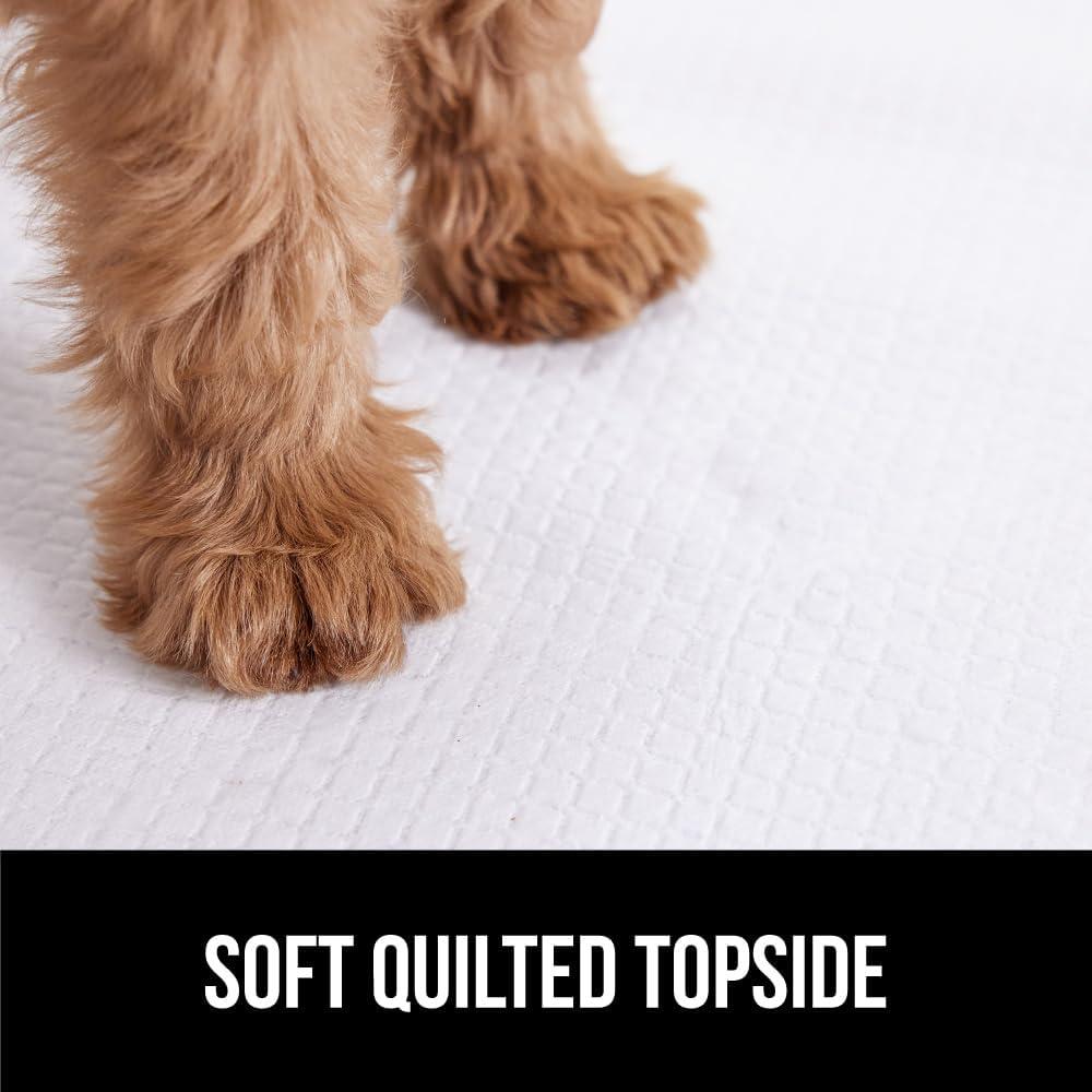 imageGorilla Guard Disposable Puppy Pads 5 Layer Pee Pads for Dogs Absorbent Diaper Changing Pad Dog Potty Training Supplies Quick Dry Pet Housebreaking Essentials for Puppies 25 Count 22x22 in34 x 28