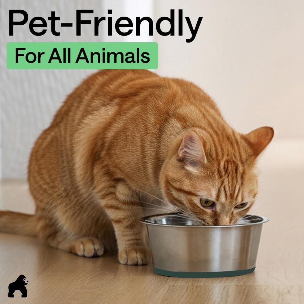 imageGORILLA GRIP Dog Bowls Holds 2 Cups Each 16 fl oz Heavy Duty Stainless Steel Food and Water Bowl for Feeding Dogs and Cats Dishwasher Safe Rust Resistant BPA Free Rubber Base Set of 2 BlackHunter Green